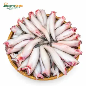 Lotia Fish (লইট্টা মাছ) – Cut & Clean