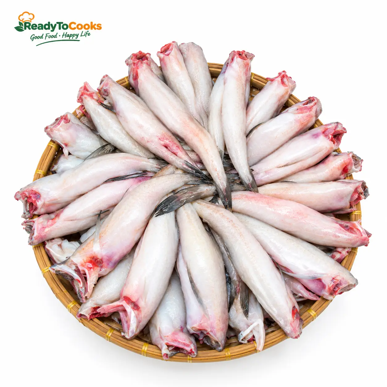 Lotia Fish (লইট্টা মাছ) – Cut & Clean