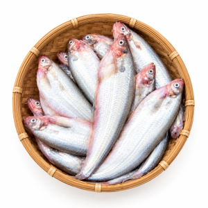 Fresh Pabda Fish (তাজা পাবদা মাছ)