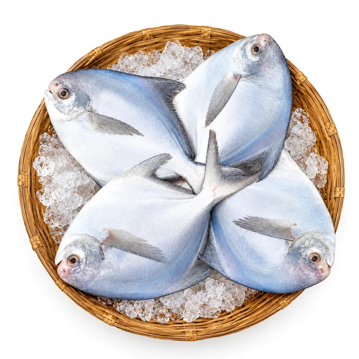Rupchanda Fish (রূপচাঁদা মাছ) | ReadyToCooks