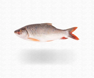Rui Fish (রুই মাছ)