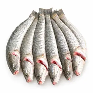 Shol Fish (দেশি শোল মাছ) – Dressed