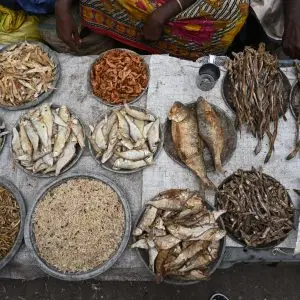Assorted dried fish displayed at a traditional market in Chattogram, Bangladesh