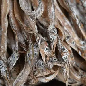 Close-up of traditional dried fish from a market in Chattogram, Bangladesh