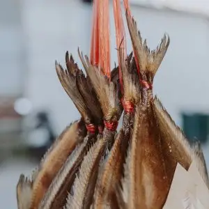 Close-up of dried fish hanging in a market setting