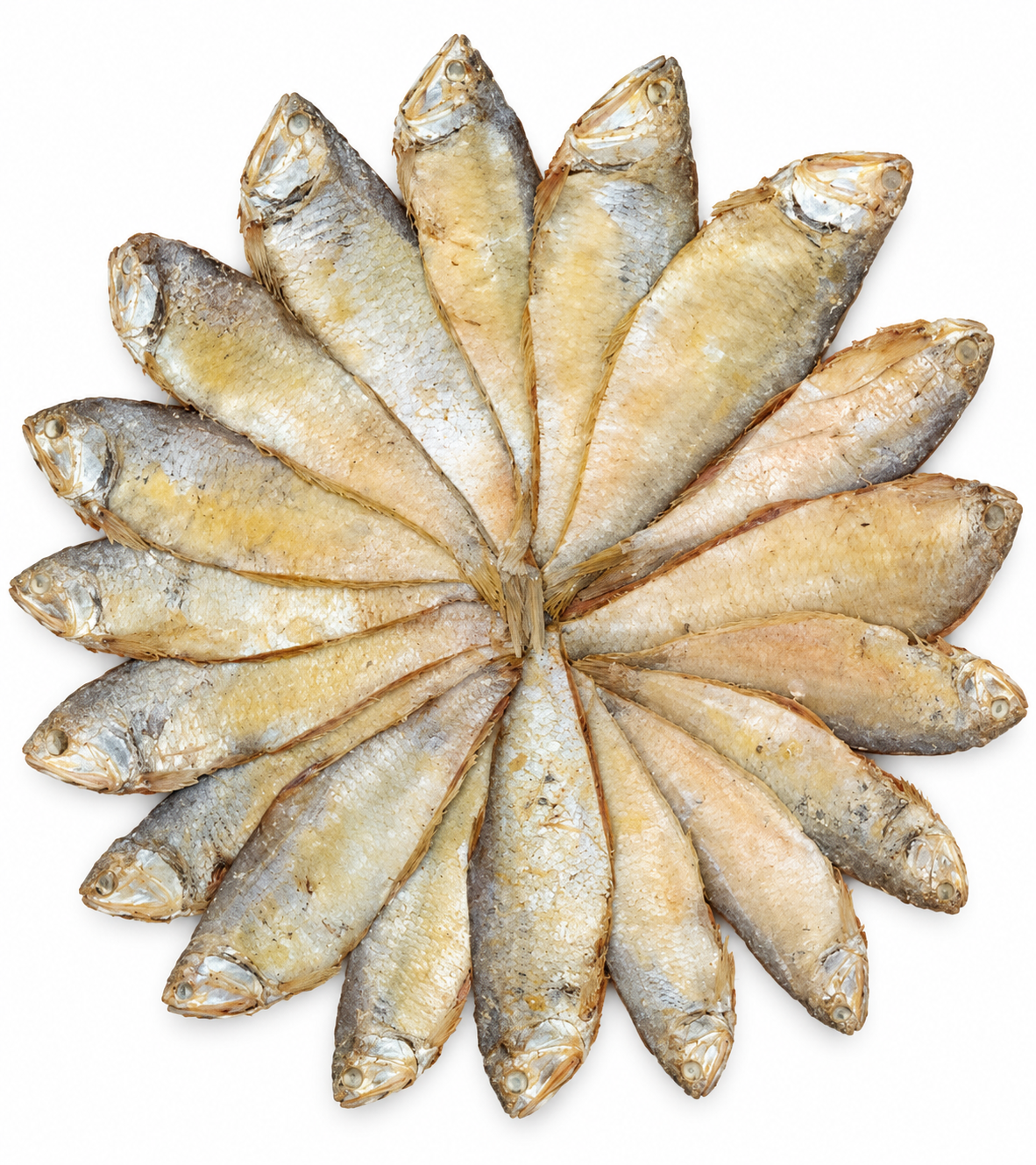 Premium Faisa Chepa Shutki (ফাইস্যা চ্যাপা শুঁটকি)